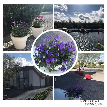 Vakantiehuis Atthis Ermelo